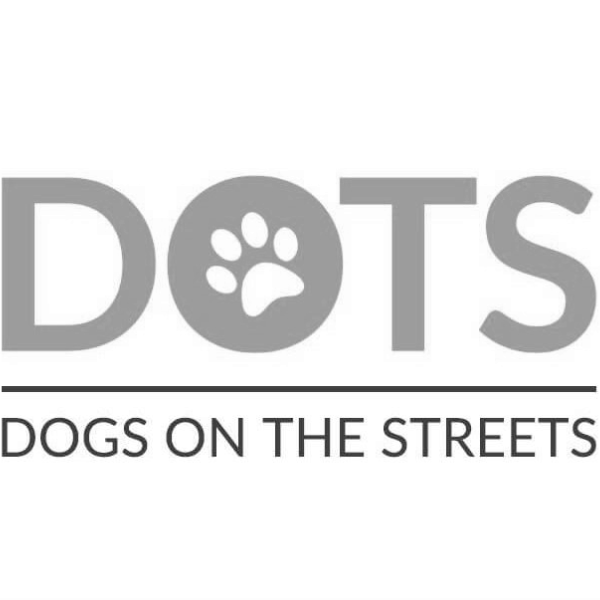 dogs on the streets