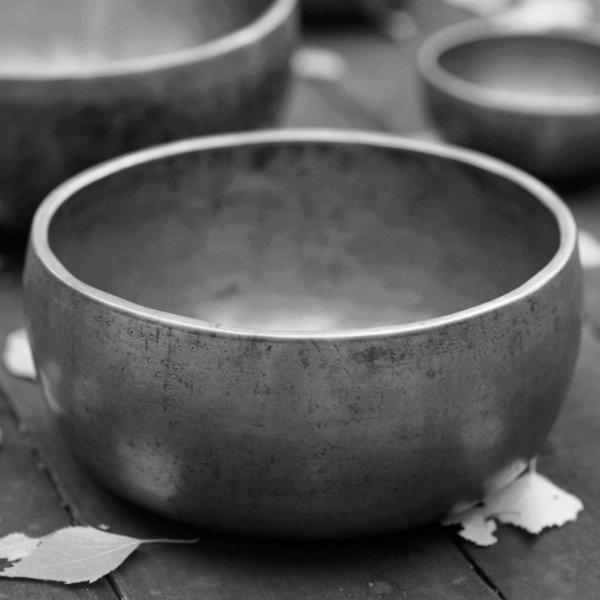Metal singing bowls on a table with tree leaves.